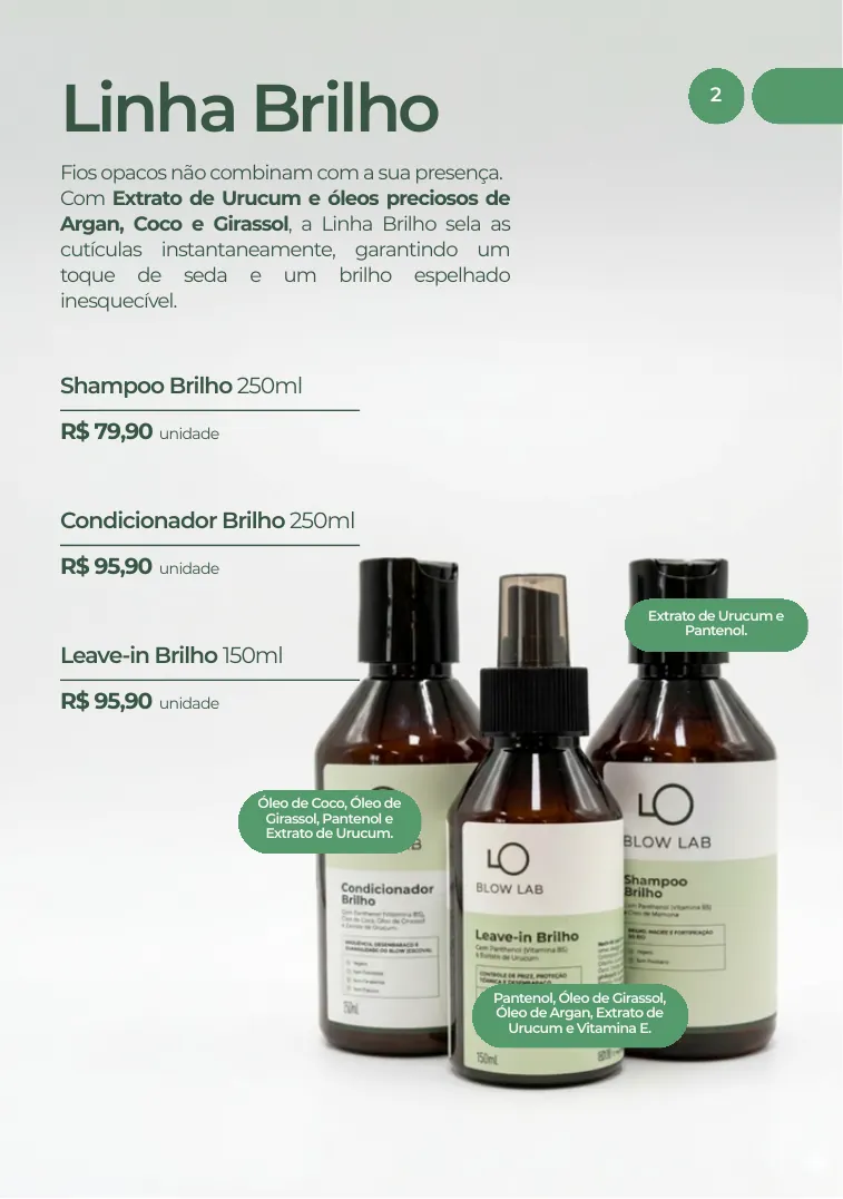 Página 2 do Catálogo BLOW Lab