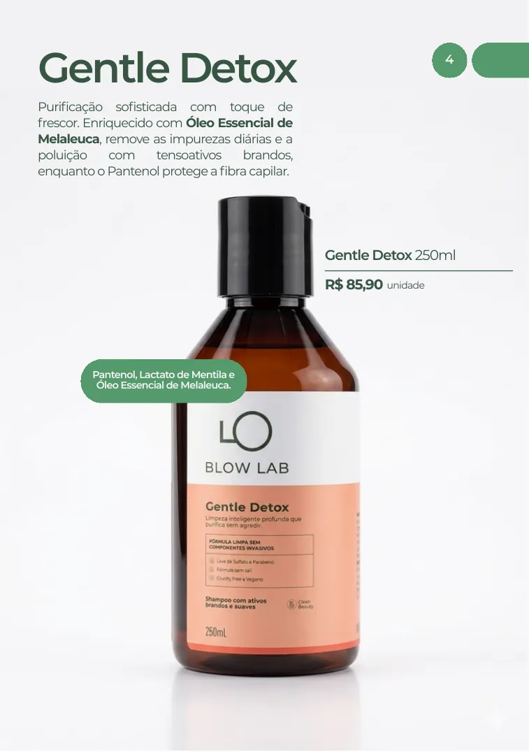 Página 4 do Catálogo BLOW Lab